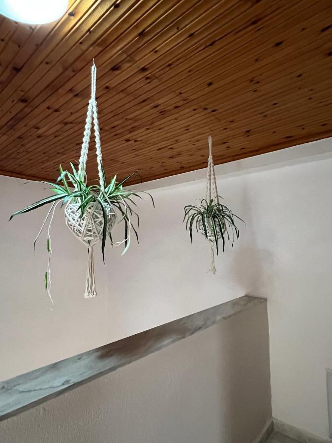 Vangelis Vrasná Extérieur photo
